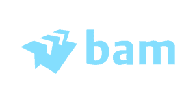 BAM