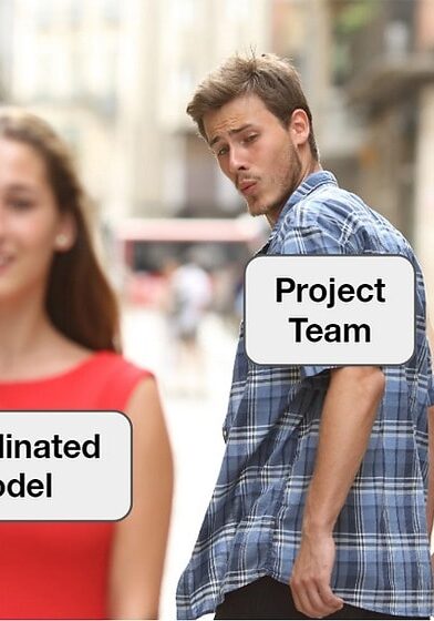 coordinated model project team design meme showing man